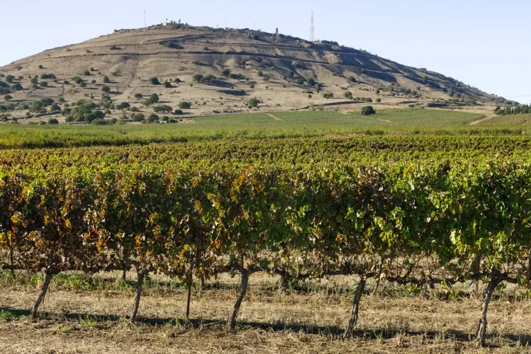 Develop the Golan or Lose It