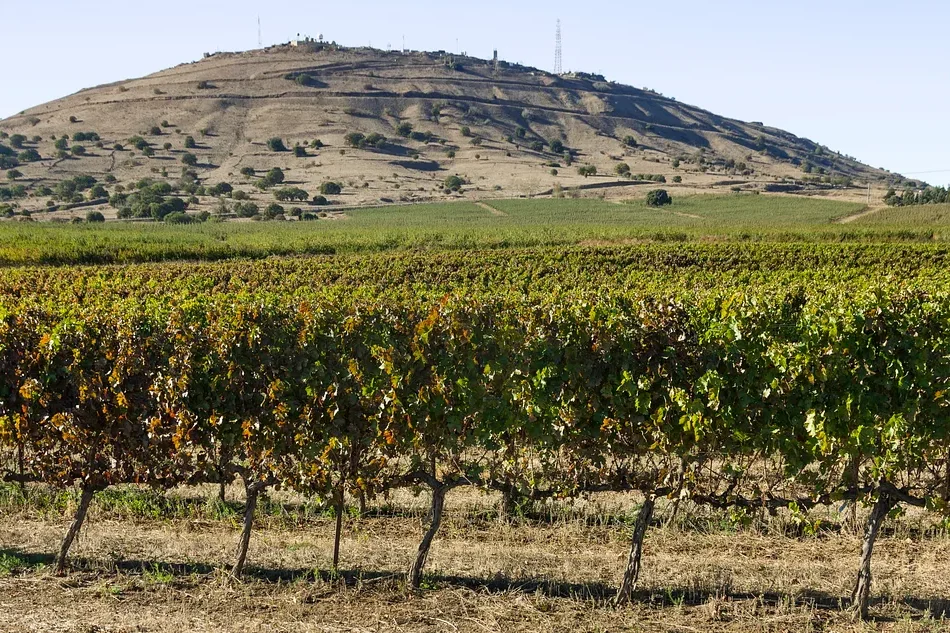 Develop the Golan or Lose It Develop the Golan or Lose It