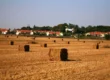 Land, Law, and Freedom