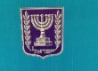 Israeli legislative election ballot with the emblem of the State of Israel